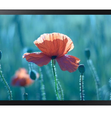 informacionnyy-displey-samsung-24-qb24r