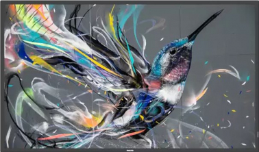 informacionnyy-displey-philips-43-43bdl3550q-00