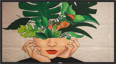 informacionnyy-displey-philips-50-50bdl4511d-00