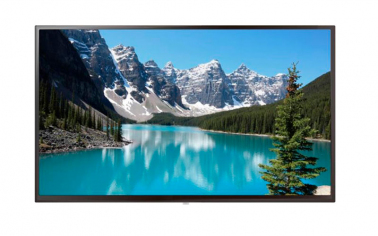 informacionnyy-displey-boe-55-sl55ap-pbma01