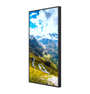 informacionnyy-displey-hisense-65-65wf25e