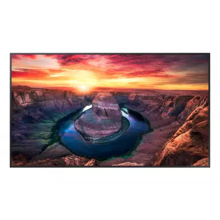 informacionnyy-displey-samsung-55-qm55b