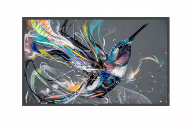 informacionnyy-displey-philips-43-43bdl3650q-00