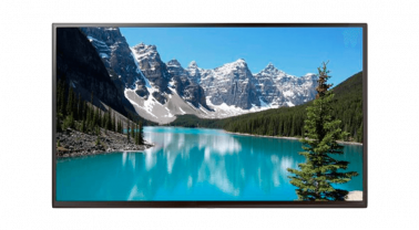 informacionnyy-displey-boe-55-sl55ap-pbma04