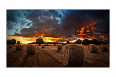 panel-dlya-videosteny-samsung-46-vm46t-u