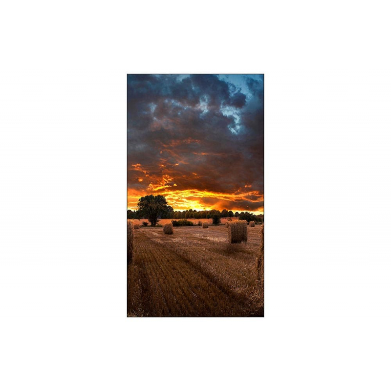 panel-dlya-videosteny-samsung-55-vm55t-u-1