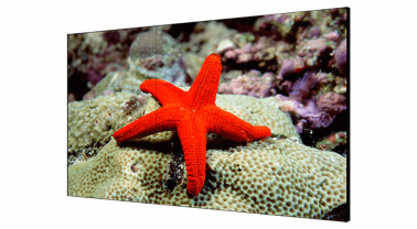 displey-dlya-videosten-hikvision-55-ds-d2055lr-g