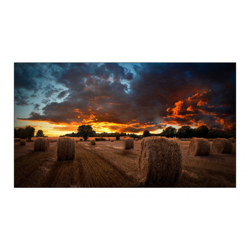 panel-dlya-videosteny-samsung-55-vm55b-u-0