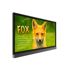 interaktivnaya-panel-benq-rp653k-thumb-0
