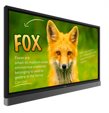 interaktivnaya-panel-benq-rp653k