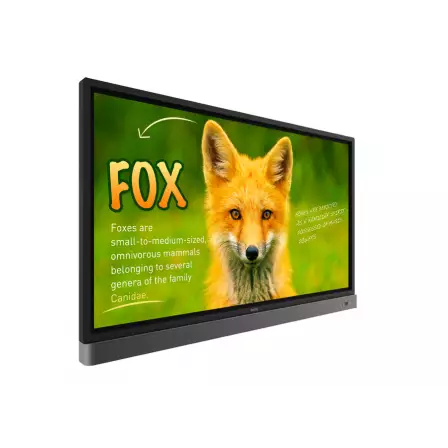 interaktivnaya-panel-benq-rp653k