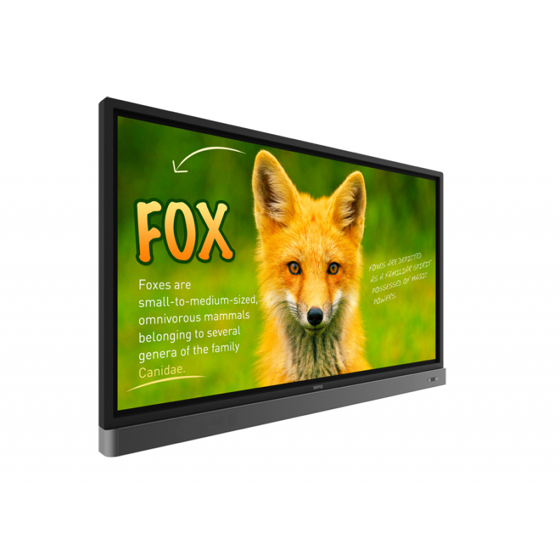 interaktivnaya-panel-benq-rp653k-0