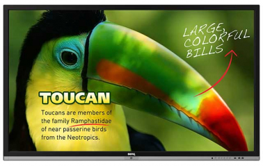 interaktivnaya-panel-benq-rp653