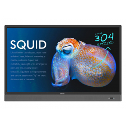 interaktivnaya-panel-benq-rp553k-thumb-0
