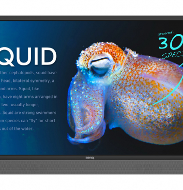 interaktivnaya-panel-benq-rp553k