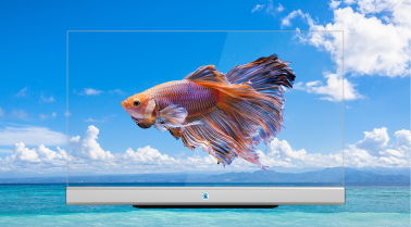 prozrachnaya-interaktivnaya-panel-boe-ot55t-a1