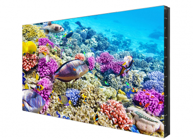 zhk-panel-displey-eliteboard-bk557ffle