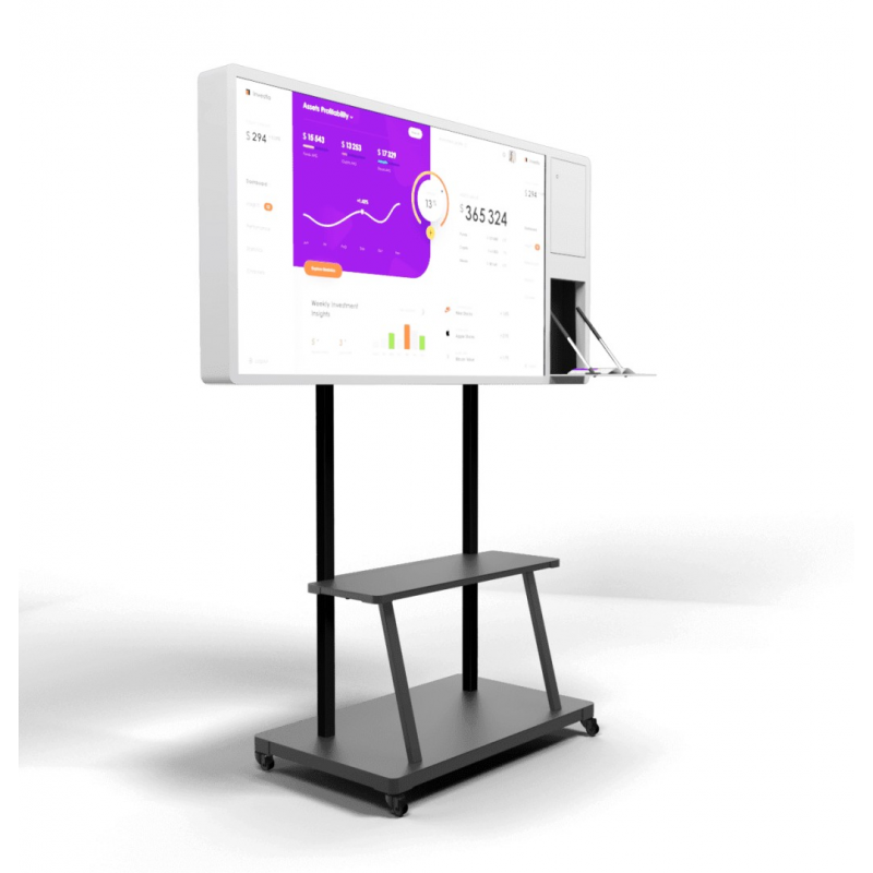 interaktivnaya-panel-storm-s-s-dokument-kameroy-65-dyuymov-0