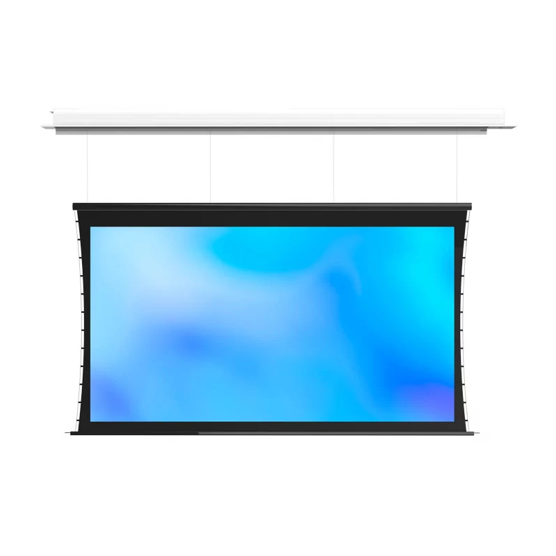 ekran-s-elektroprivodom-dlya-krupnyh-meropriyatiy-na-stalnyh-trosah-master-wire-control-matte-white-120-169h292-16-9-1