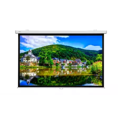 nastennyy-ekran-s-ruchnym-upravleniem-c-mehanizmom-plavnogo-i-upravlyaemogo-vozvrata-master-picture-csr-mw-fiberglass-106-197h244-16-9